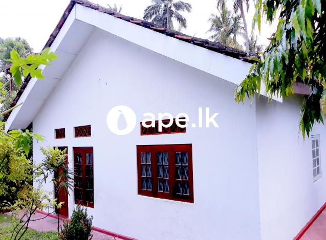 HOUSE FOR RENT IN PANDURA ,GORAKAPOLA 