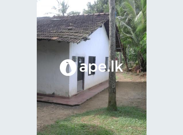 à¶±à·’à·€à·ƒ à·ƒà·„ à¶‰à¶©à¶¸ à·€à·’à¶šà·’à¶«à·“à¶¸à¶§ à¶šà·”à¶¹à·”à¶»à·” à¶…à¶šà·Šà¶šà¶»à¶ºà¶šà·Š à