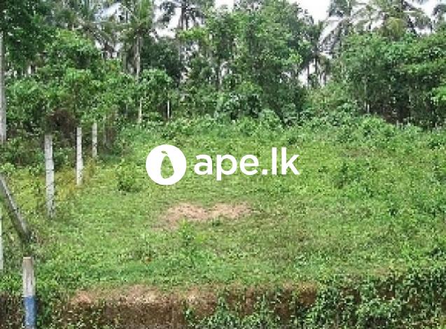 Mathugama agalawaththa road aland for sale