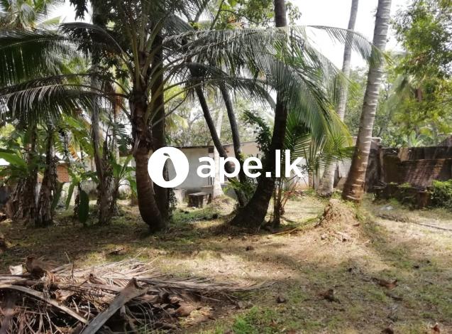 Land for sale in heart of Anuradhapura
