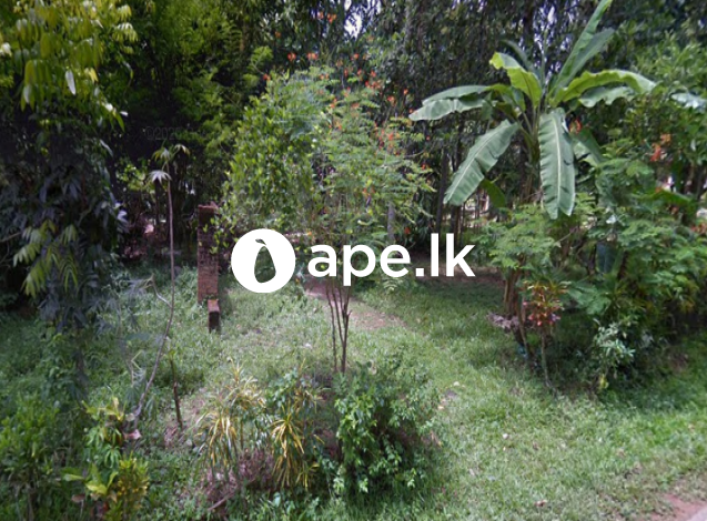 à¶¸à·’à¶±à·”à·€à¶±à·Šà¶œà·œà¶© - à¶´à¶­à·Šà¶­à¶©à·”à·€à¶± à¶´à¶»à·Š. 30à¶š à¶‰à¶©à¶¸à¶šà·Š à·€à·’à¶š