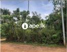 Lands For Sale In MEEGODA, PANALUWA