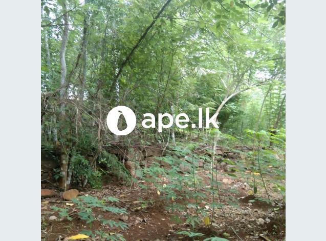 Sale for land in Rakwana