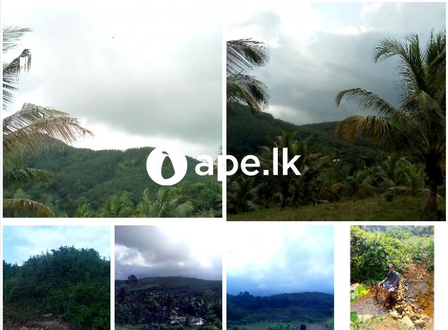 Land for Sale in Meepe