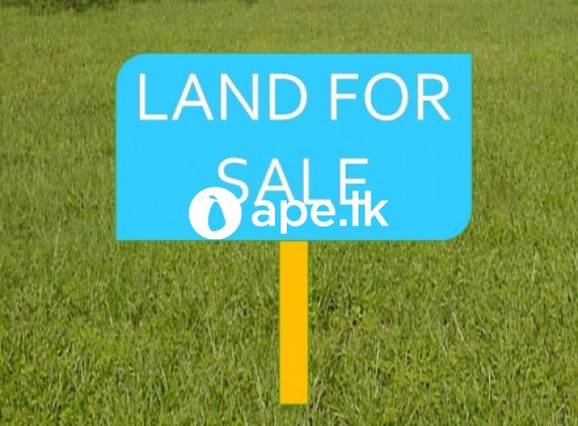 Land for sale