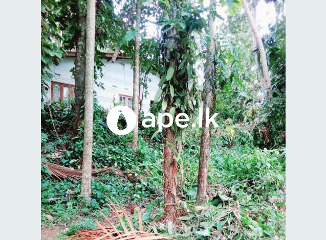 100 Perches Land for Sale in Matale Hulangamuwa