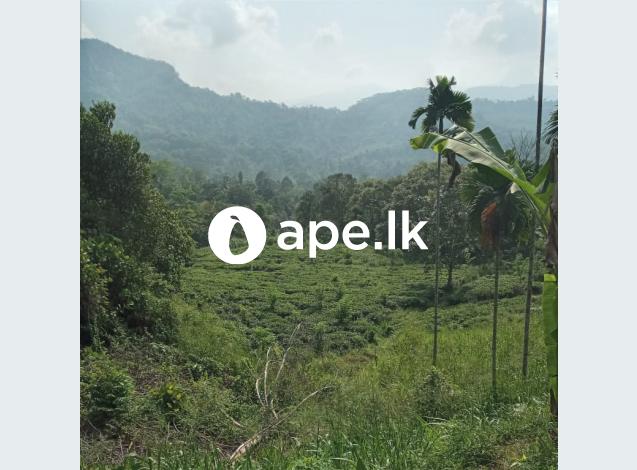 Land for Sale in Kuuwita