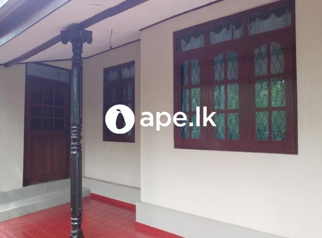 à¶´à·à¶±à¶¯à·”à¶» à¶œà¶½à·Šà¶­à·”à¶©à·š à¶±à·€à·“à¶± à¶´à¶±à·Šà¶±à¶ºà·š à¶±à·’à·€à·ƒà¶šà·Š à·€à·’à¶