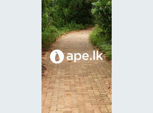 à¶´à·™à¶»à·Šà¶ à·™à·ƒà·Š 40à¶šà·Šâ€Œ à¶½à¶šà·Šà·‚ 20à¶šà¶§ 