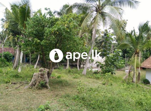 Land For Sale in Ja Ela