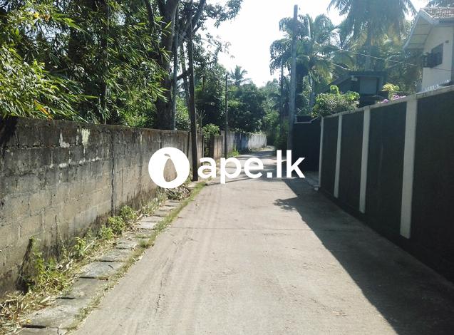 à¶œà¶¸à·Šà¶´à·„ à¶±à¶œà¶»à¶ºà·š à¶…à¶œà¶±à· à¶±à·’à¶»à·€à·”à¶½à·Š à¶‰à¶©à¶¸à¶šà·Š à·€à·’à¶šà·’à¶±à·