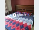 Egyptian Cotton Bedsheet 3pcs Set 