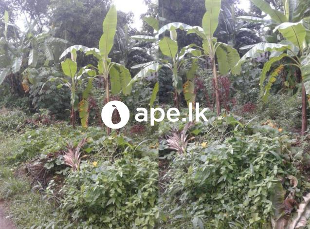 Land for Sale Near the Gampaha Town