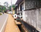 à¶±à·’à·€à·ƒ à·ƒà·„à· à·€à·Šâ€à¶ºà·à¶´à·à¶»à¶º à·ƒà·Šà¶®à·à¶±à¶º 