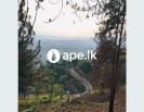 Bare Land for Sale in Kandy