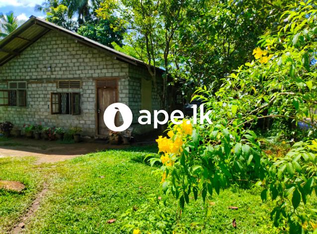 House & 30 Perches Land for Sale in Negombo