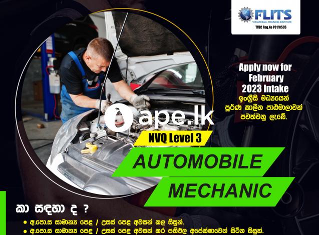 NVQ Level 3 Automobile Mechanic 