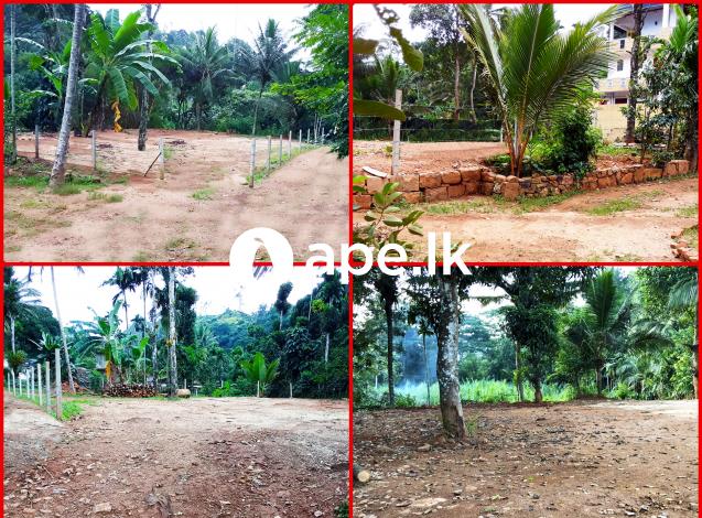 96 Perch Lands Badulla - බදුල්ල හාලිඇල පර්චස් 96ක්