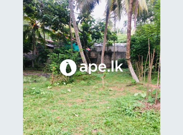 à¶‰à¶©à¶¸ à·€à·’à¶šà·’à¶«à·“à¶¸à¶§ - à¶´à·à¶±à¶¯à·”à¶»