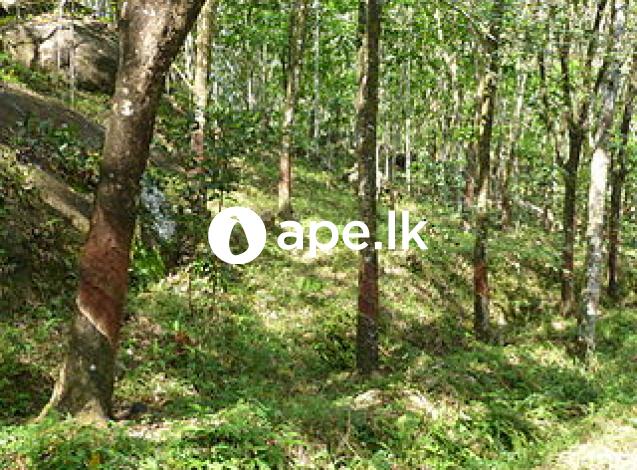 7.5 acres rubber land in Makandura 