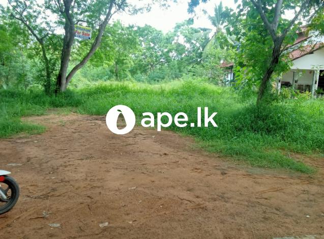 Land for sale - Putthalam