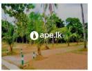  Lands For Sale In KADAWATA