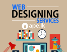 Website Design Development