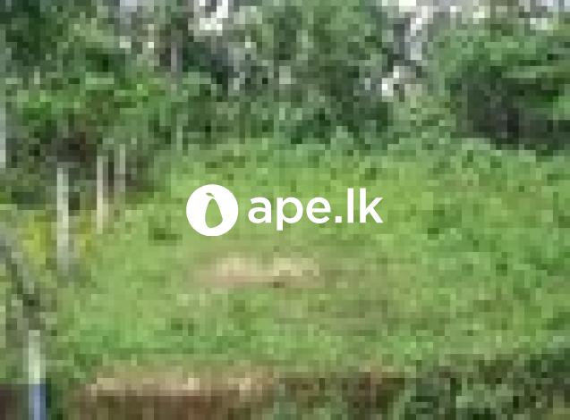 Land for sale malwana