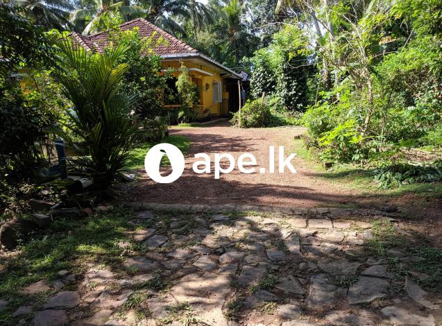 Land for Sale in  Maha Induruwa(ඉඩමක් විකිණීමට ඇත)