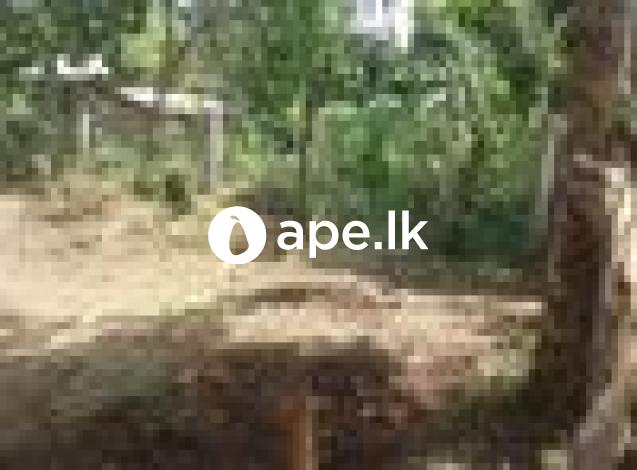 à¶…à¶±à·”à¶»à·à¶°à¶´à·”à¶» à¶´à·”à¶¢à· à¶±à¶œà¶»à¶ºà·š à¶‰à¶©à¶¸à¶šà·Š à·€à·’à¶šà·’à¶«à·“à¶¸à¶§