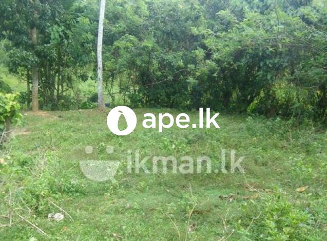 Residential Land for Sale