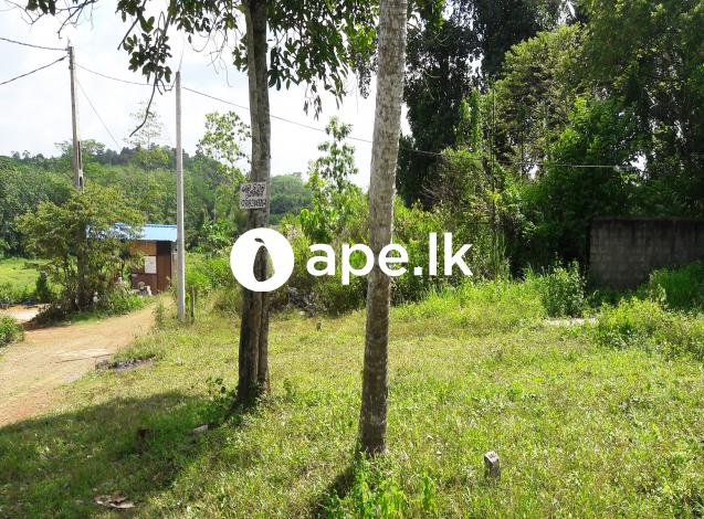 à¶†à¶§à·’à¶œà¶½ à¶‰à¶©à¶¸à¶šà·Š à·€à·’à¶šà·’à¶«à·“à¶¸à¶§