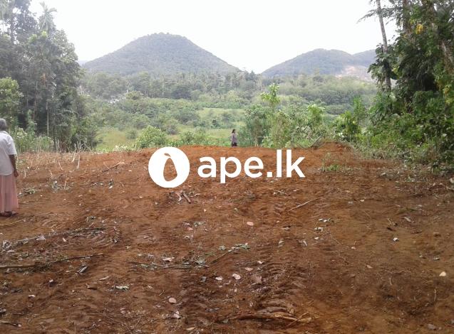 Dodangoda bare land for sale