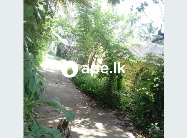 14P land for sale in Ganemulla, Kaluwalla Rd.