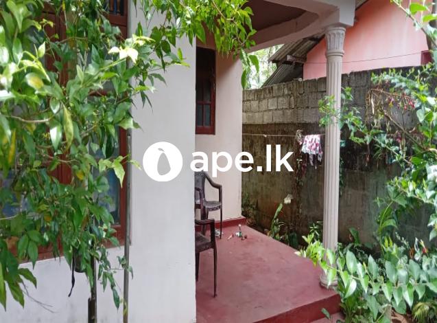 à¶±à·’à·€à·ƒà¶šà·Š à·€à·’à¶šà·’à¶«à·“à¶¸à¶§ 