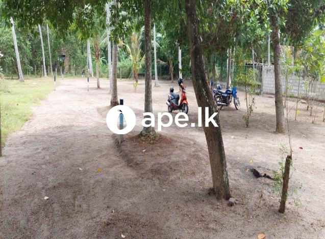 Land for sale minuwangoda,katunayaka mand road