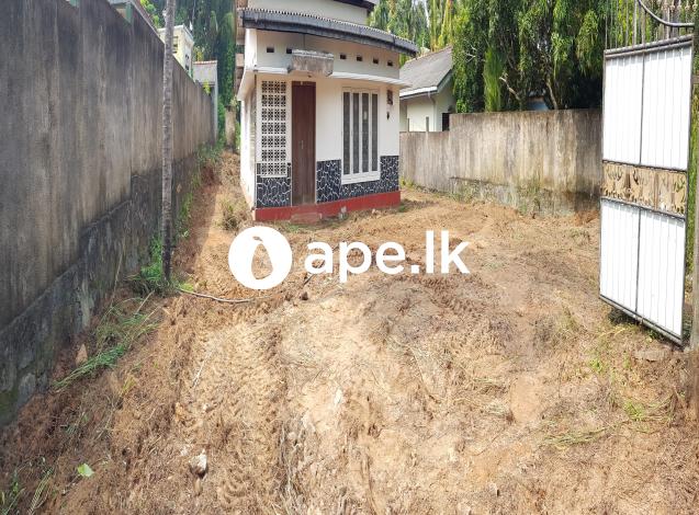 à·€à¶§à·’à¶±à· à¶‰à¶©à¶¸à¶šà·Š 