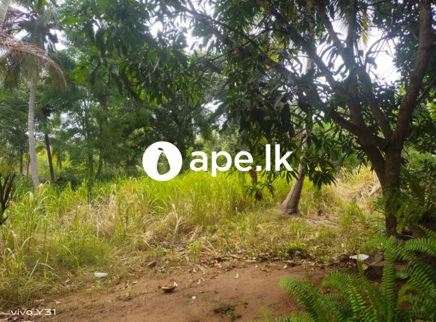 Land Sale For Anuradapura