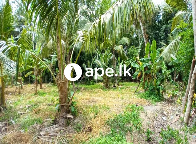 LAND FOR SALE IN MINUWANGODA