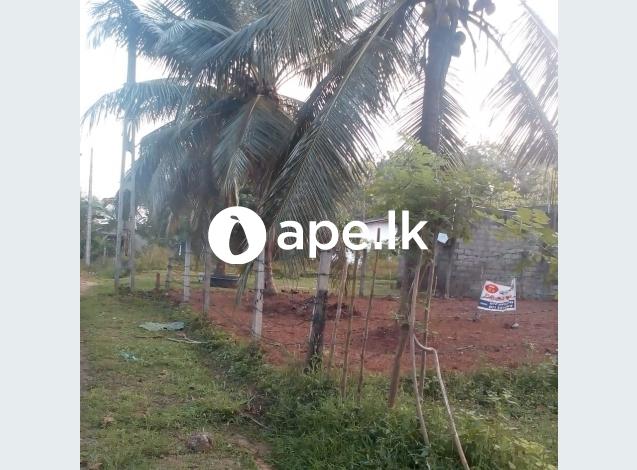 Land for sale in Dadigamuwa Ranala