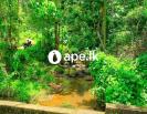 Lands For Sale In WELIGAMA