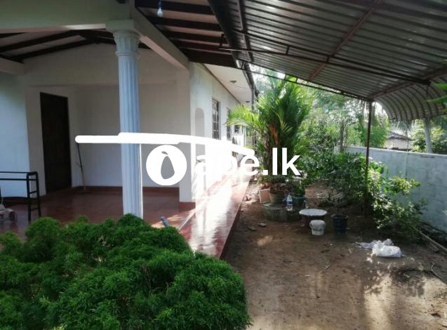 à¶šà¶©à·”à·€à·™à·’à¶½ à¶±à¶œà¶»à¶ºà·šà¶±à·Š à¶…à¶‚à¶œ à·ƒà¶¸à·’à¶´à·”à¶»à·Šà¶« à¶±à·’à·€à·ƒà¶šà·Š à·