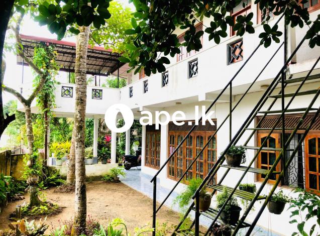 à·„à·à¶¸à·à¶œà¶¸ à¶±à¶œà¶»à¶ºà·š à¶¯à·™à¶¸à·„à¶½à·Š à¶±à·’à·€à·ƒà¶šà·Š à·€à·’à¶šà·’à¶«à·“à¶¸à¶§ à¶