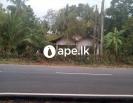 LAND
