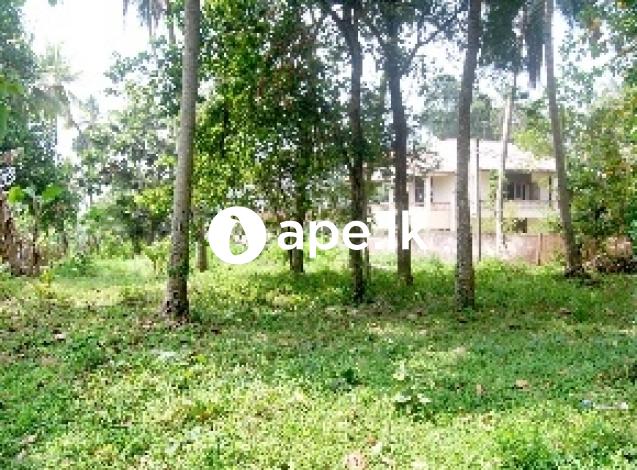 Commercial Land for Sale at Anuradhapura