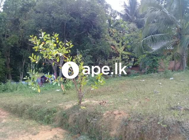 Land for sale Kaluthara 