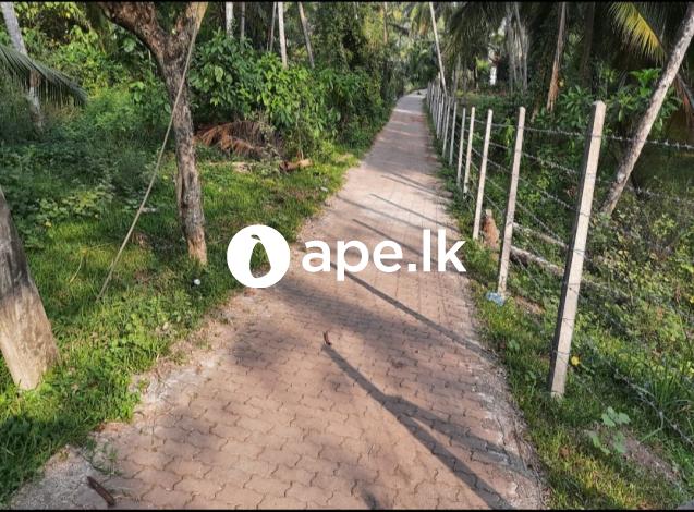 Land for sale in Gampaha( Ganemulla )