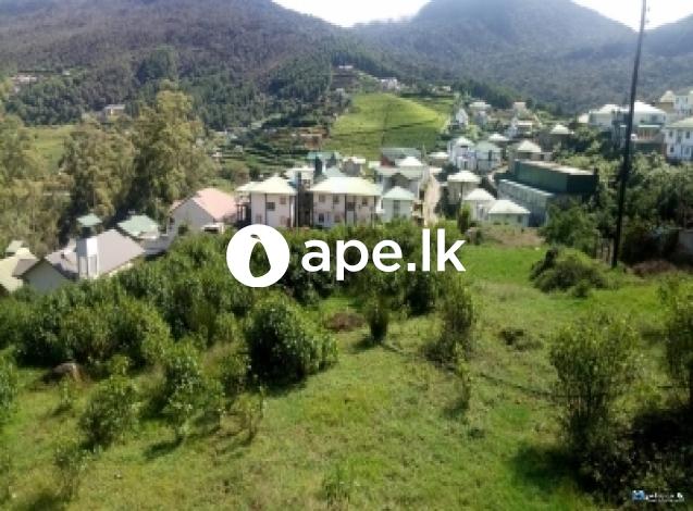 Commercial Land for Sale at Nuwara Eliya