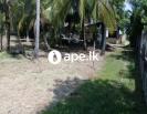 Land For Sale In WARIYAPOLA