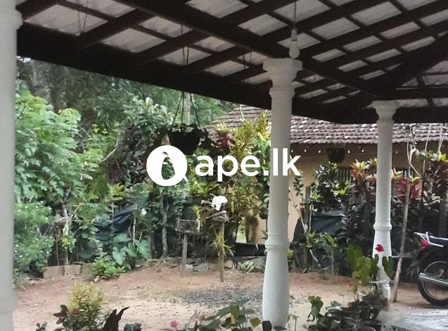 à¶¶à¶¯à·Šà¶¯à·™à¶œà¶¸à·’à¶±à·Š à¶±à·’à·€à·ƒà¶šà·Š à·€à·’à¶šà·’à¶±à·“à¶¸à¶§ à¶­à·’à¶¶à·š.